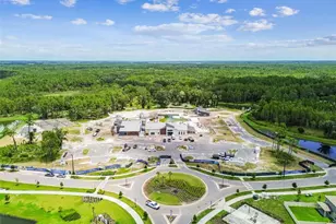 21430 Starry Eyes Wy, Land O Lakes, FL 34637 - Photo 97