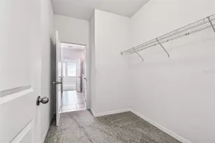 21430 Starry Eyes Wy, Land O Lakes, FL 34637 - Photo 39