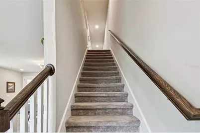 1958 Trailside Dr, Palm Harbor, FL 34683 - Photo 27