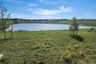 32118 Pond Apple Bnd, San Antonio, FL 33576 - Photo 23