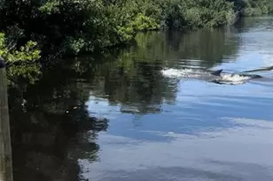 265 96th Ave N, Saint Petersburg, FL 33702 - Photo 65