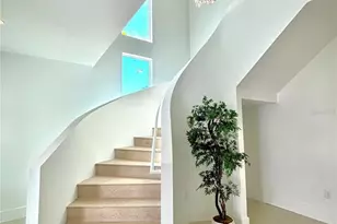 3602 E Renellie Cir, Tampa, FL 33629 - Photo 7