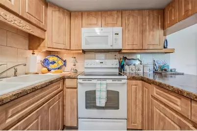 503 Windrush Bay Drive, Tarpon Springs, FL 34689 - Photo 11