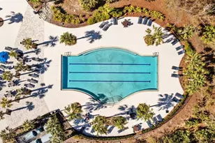 17750 Everlong Dr, Land O Lakes, FL 34638 - Photo 55