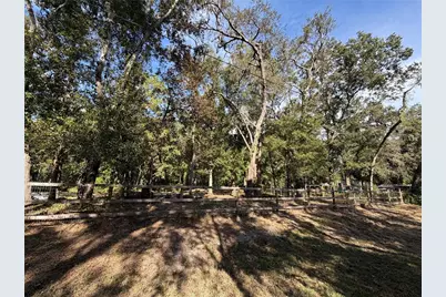 10548 Posen Street, New Port Richey, FL 34654 - Photo 5