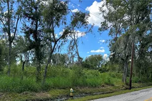Seminole Lake Blvd & Hickman Ave, Plant City, FL 33563 - Photo 1