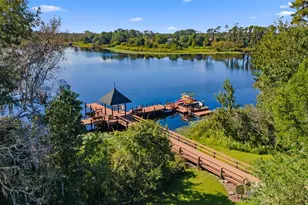 7340 Night Heron Dr, Land O Lakes, FL 34637 - Photo 61