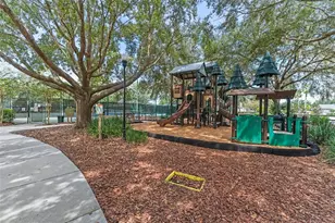 7340 Night Heron Dr, Land O Lakes, FL 34637 - Photo 73