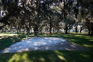3629 Mossy Oak Cir, Land O Lakes, FL 34639 - Photo 55