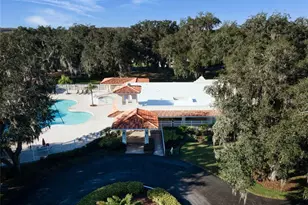 3629 Mossy Oak Cir, Land O Lakes, FL 34639 - Photo 47