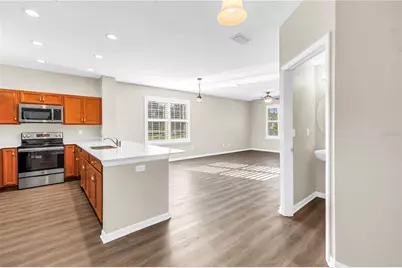 421 Lorraine Leland Street, Dunedin, FL 34698 - Photo 23