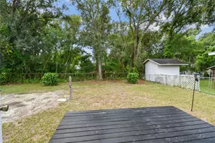 4419 Dolphin Dr, Tampa, FL 33617 - Photo 29