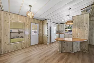 35106 McCulloughs Leap, Zephyrhills, FL 33541 - Photo 9