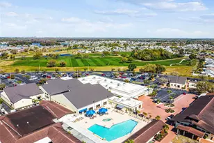 1803 Pineapple Palm Ct., Sun City Center, FL 33573 - Photo 91