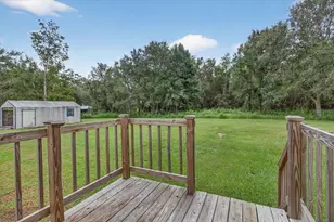 31326 Tyndall Rd, Wesley Chapel, FL 33545 - Photo 55