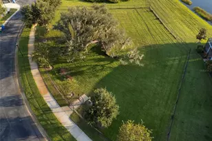 19421 Paddock View Dr, Tampa, FL 33647 - Photo 47