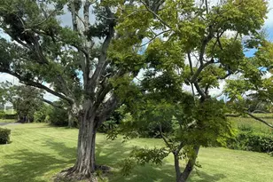 2460 Canadian Way, Clearwater, FL 33763 - Photo 15