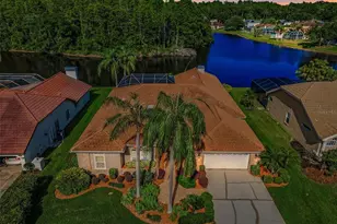 2691 Saddlewood Ln, Palm Harbor, FL 34685 - Photo 67