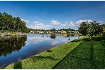 2691 Saddlewood Lane, Palm Harbor, FL 34685 - Photo 61