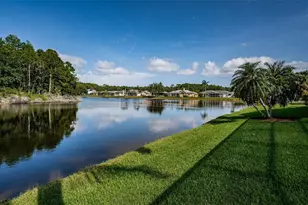 2691 Saddlewood Ln, Palm Harbor, FL 34685 - Photo 61