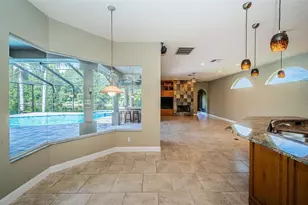 2691 Saddlewood Ln, Palm Harbor, FL 34685 - Photo 17