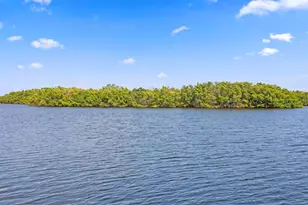 1040 Paseo Del Rio NE, Saint Petersburg, FL 33702 - Photo 69