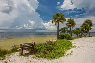 217 Seagull Dr, Tarpon Springs, FL 34689 - Photo 49