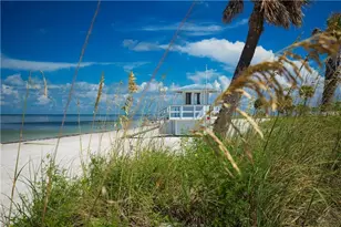 217 Seagull Dr, Tarpon Springs, FL 34689 - Photo 51