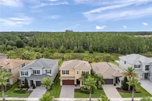 32203 Mahogany Valley Dr, Wesley Chapel, FL 33543 - Photo 61