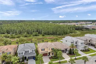 32203 Mahogany Valley Dr, Wesley Chapel, FL 33543 - Photo 63