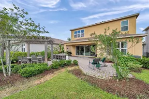 32203 Mahogany Valley Dr, Wesley Chapel, FL 33543 - Photo 51