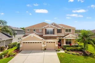 2330 Nesslewood Dr, Wesley Chapel, FL 33543 - Photo 43