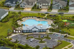 5923 Silver Sun Dr, Apollo Beach, FL 33572 - Photo 61