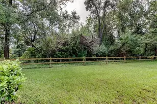 115 Palmetto Ct, Oldsmar, FL 34677 - Photo 35