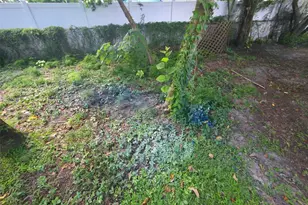 3425 E Powhatan Ave, Tampa, FL 33610 - Photo 17