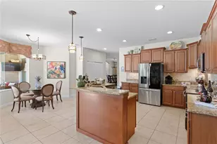 20117 Blue Daze Ave, Tampa, FL 33647 - Photo 15