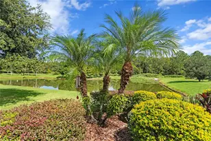 20117 Blue Daze Ave, Tampa, FL 33647 - Photo 31