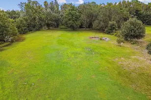 5504 Bruton Rd, Plant City, FL 33565 - Photo 89