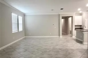 24815 Lambrusco Loop, Lutz, FL 33559 - Photo 19