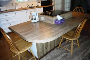 139 Forest Ln, Safety Harbor, FL 34695 - Photo 9