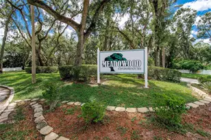 8003 Hibiscus Dr, Temple Terrace, FL 33637 - Photo 17