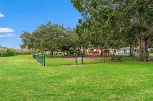 505 Oakwood Blvd, Oldsmar, FL 34677 - Photo 51