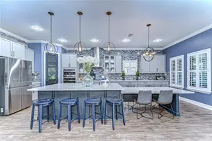 21867 Amelia Rose Way, Land O Lakes, FL 34637 - Photo 21