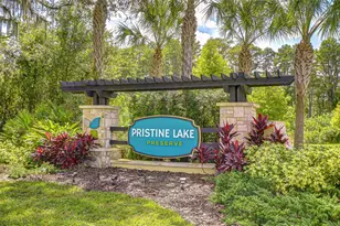 21867 Amelia Rose Way, Land O Lakes, FL 34637 - Photo 69