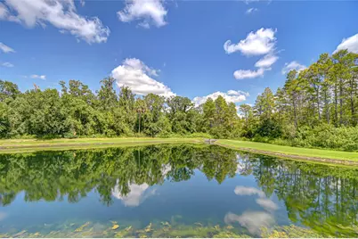 21867 Amelia Rose Way, Land O Lakes, FL 34637 - Photo 65