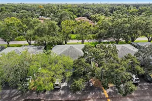 2906 Lichen Ln, Clearwater, FL 33760 - Photo 23