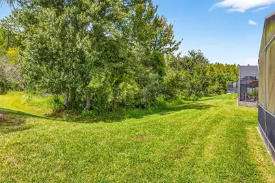 8415 Tarocco Court, Land O Lakes, FL 34637 - Photo 41
