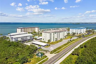 5 Island Park Pl, Dunedin, FL 34698 - Photo 57