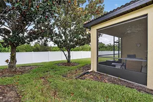 307 Bluewater Falls Ct, Apollo Beach, FL 33572 - Photo 45