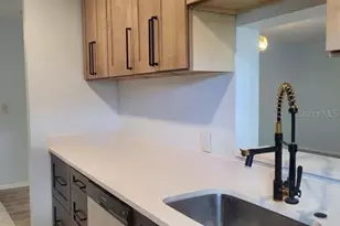 7941 58th Ave N, Saint Petersburg, FL 33709 - Photo 19